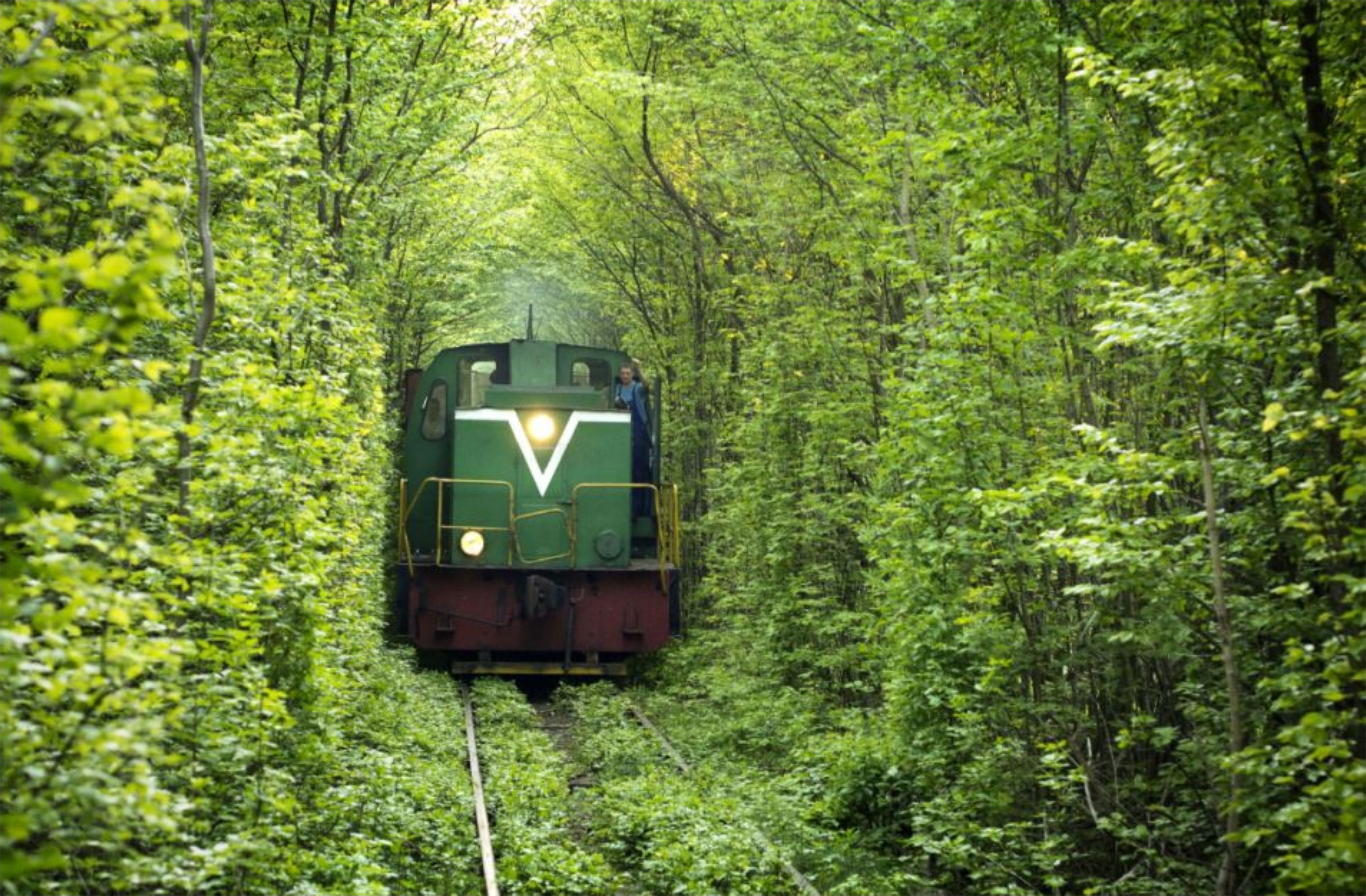 بالصور والفيديو.. أكثر 10 رحلات سكك حديدية إمتاعا وتشويقا في العالم