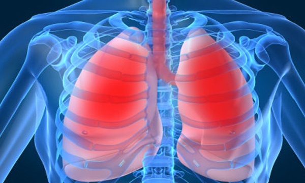 10 نصائح للحفاظ على صحة الرئة وتحسين القدرة على التنفس