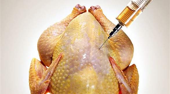 هكذا تكشف الدجاج المحقون بالهرمونات المسرطنة