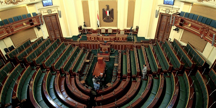 سيدة في البرلمان المصري أرادت إسعاد طفليها والنتيجة مأساوية .. صورة