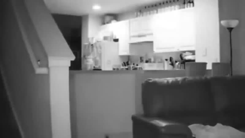 بالفيديو.. رجل يصاب بالذهول والخوف لدى مشاهدته تسجيلات كاميرا منزله !