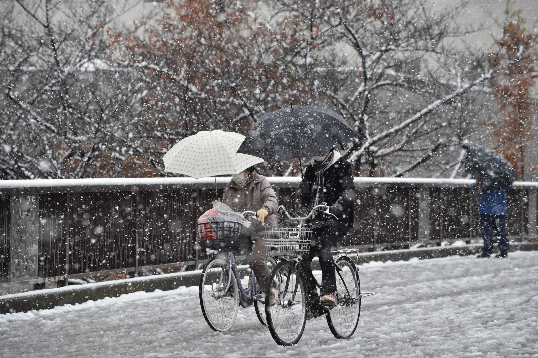 الثلوج تسقط على طوكيو لأول مرة منذ عام 1962