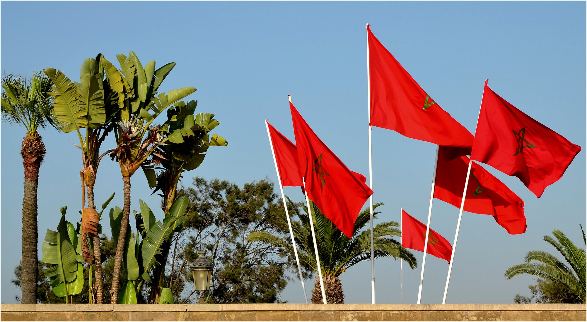 المغرب تشهد حدثا للمرة الأولى في تاريخها.. تعرف عليه
