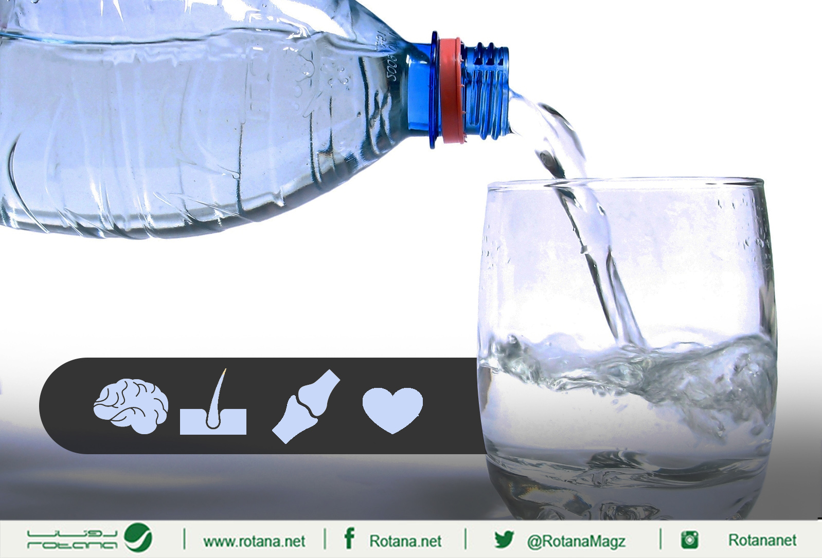 إنفوغراف..تعرف على أهمية شرب الماء لأجهزة الجسم
