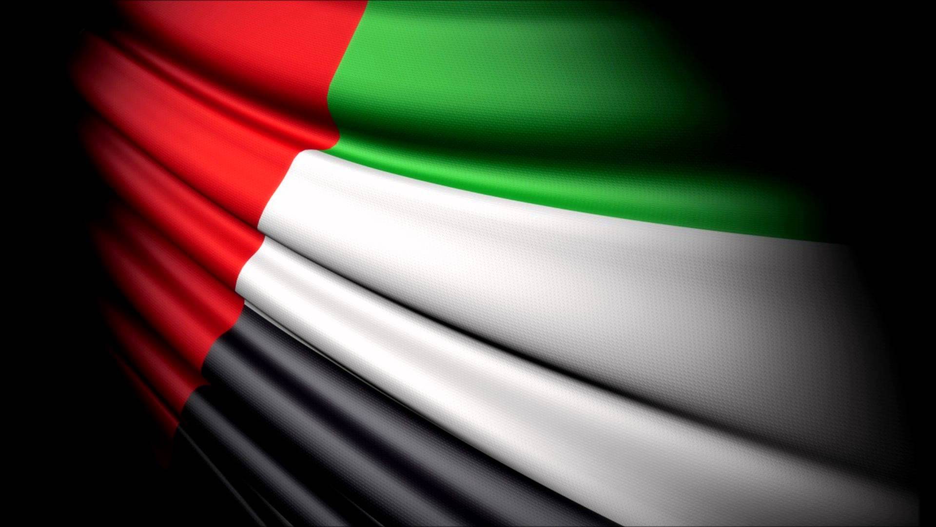 الإمارات تفوز بعضوية لجنة دولية في مجال حقوق الإنسان