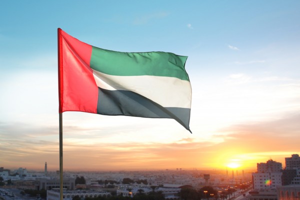 الإمارات تتصدر عربيا وتتقدم عالميا في تلك الخدمات
