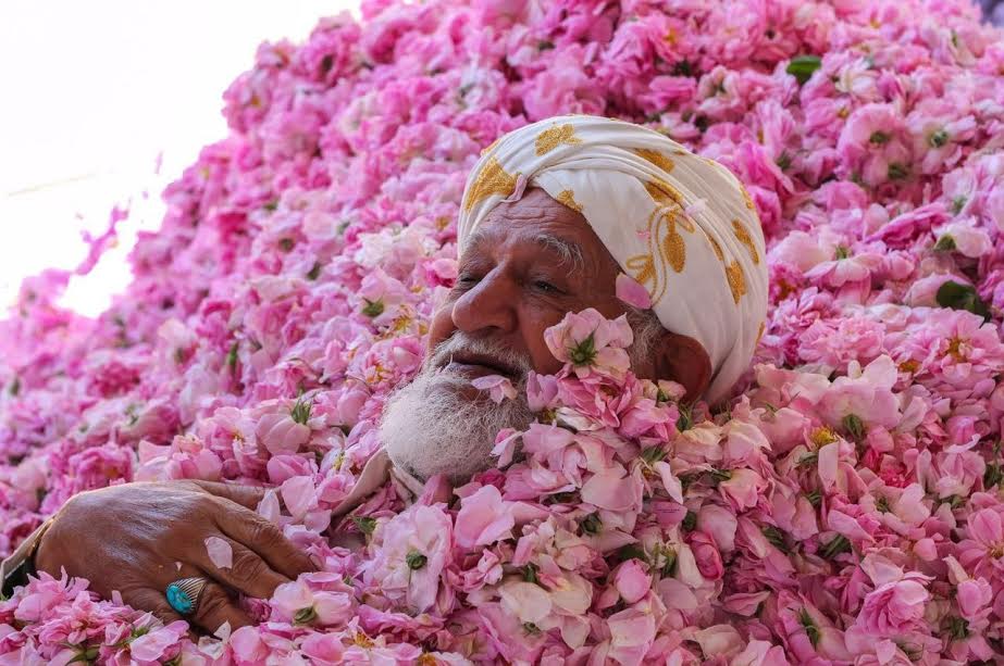 السعودية رائدة مهرجانات الزهور .. تعرف على "قطار الورد"