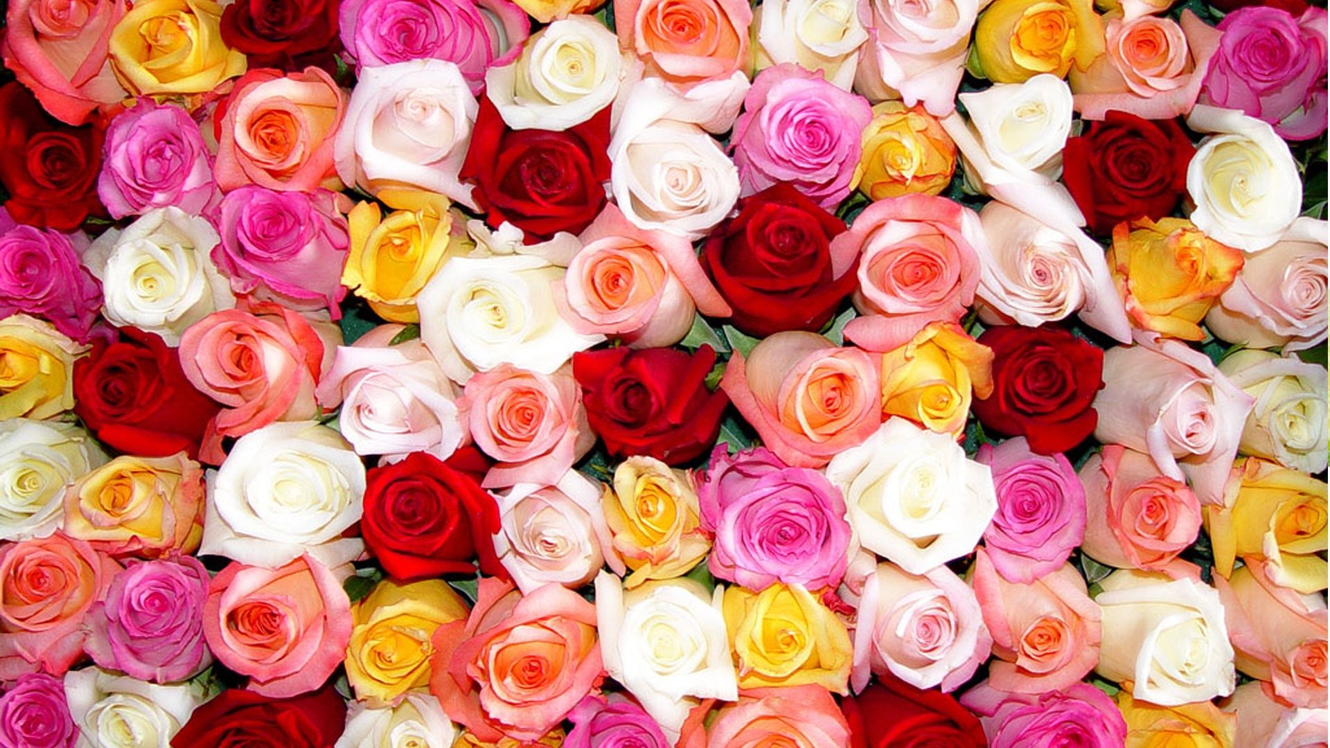 7 طرق مختلفة لتنسيق الورود في منزلك.. ديكورك معطر