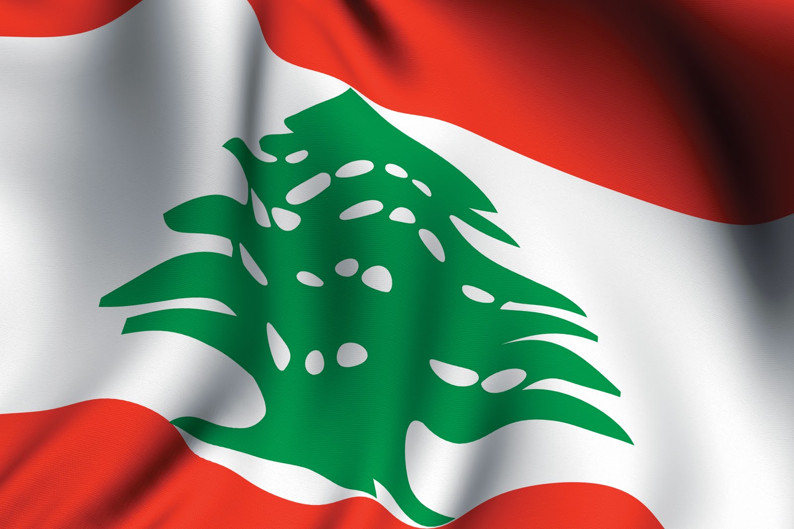 رجل وامرأة يخطفان الأضواء من 30 وزيرا في الحكومة اللبنانية