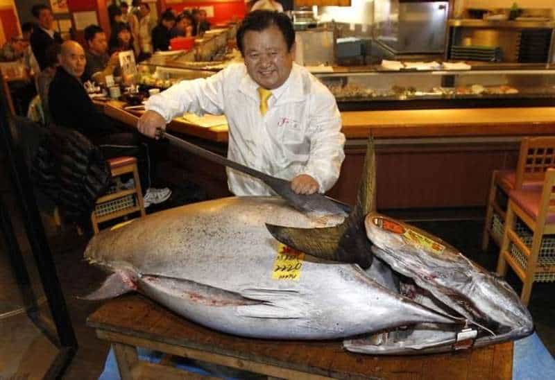 سمكة تونة تباع في مزاد لمطعم ياباني شهير.. سعرها خيالي