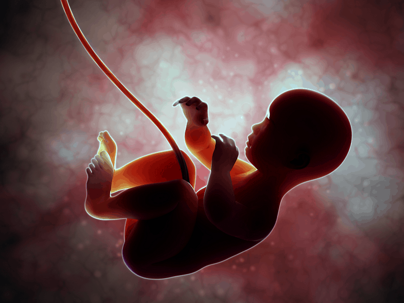 ماذا يتعلم الجنين في بطن أمه بجانب سمعه أثناء الحمل؟