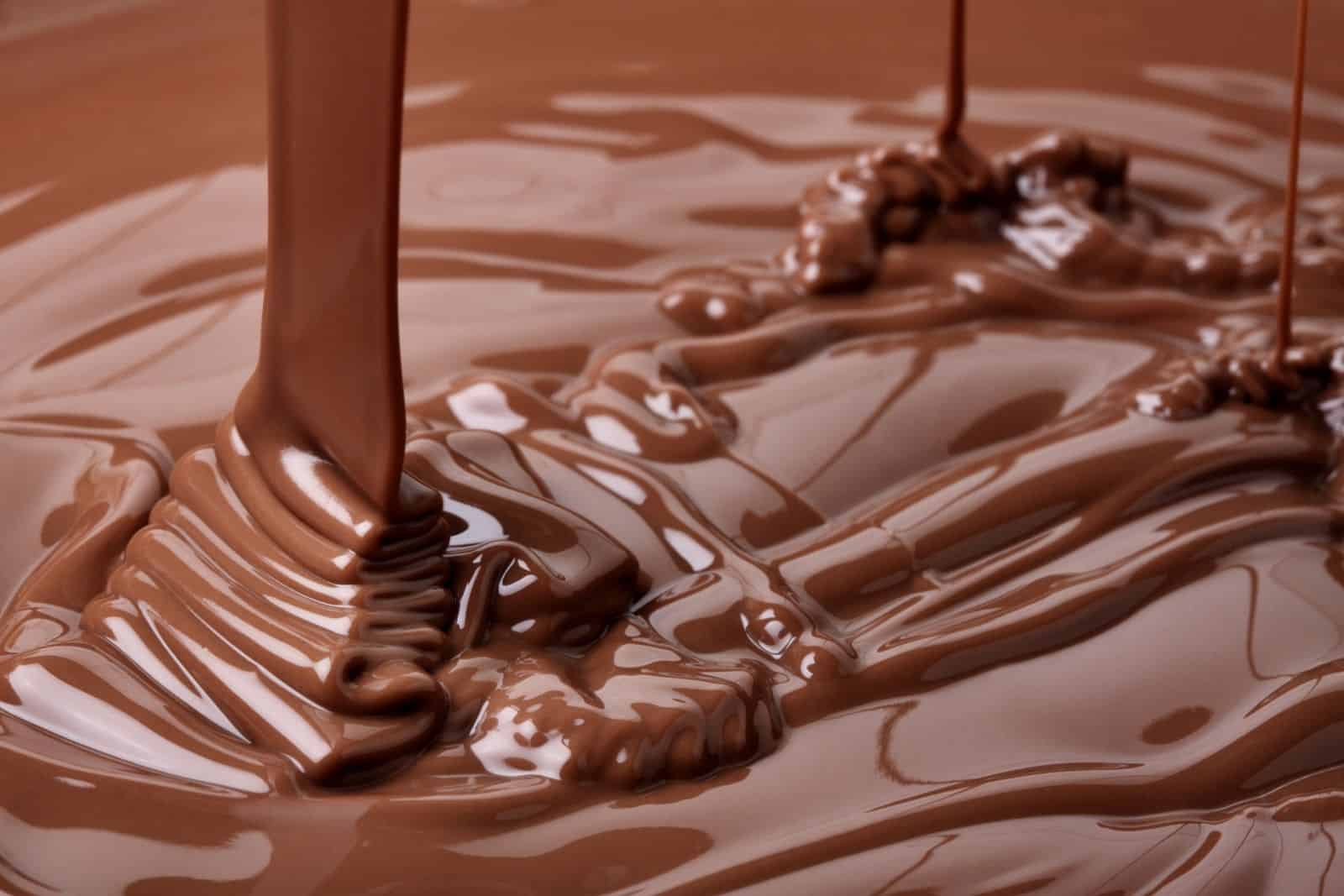 منحة خاصة لدراسة علم "الشوكولاتة".. تعرف على الشروط