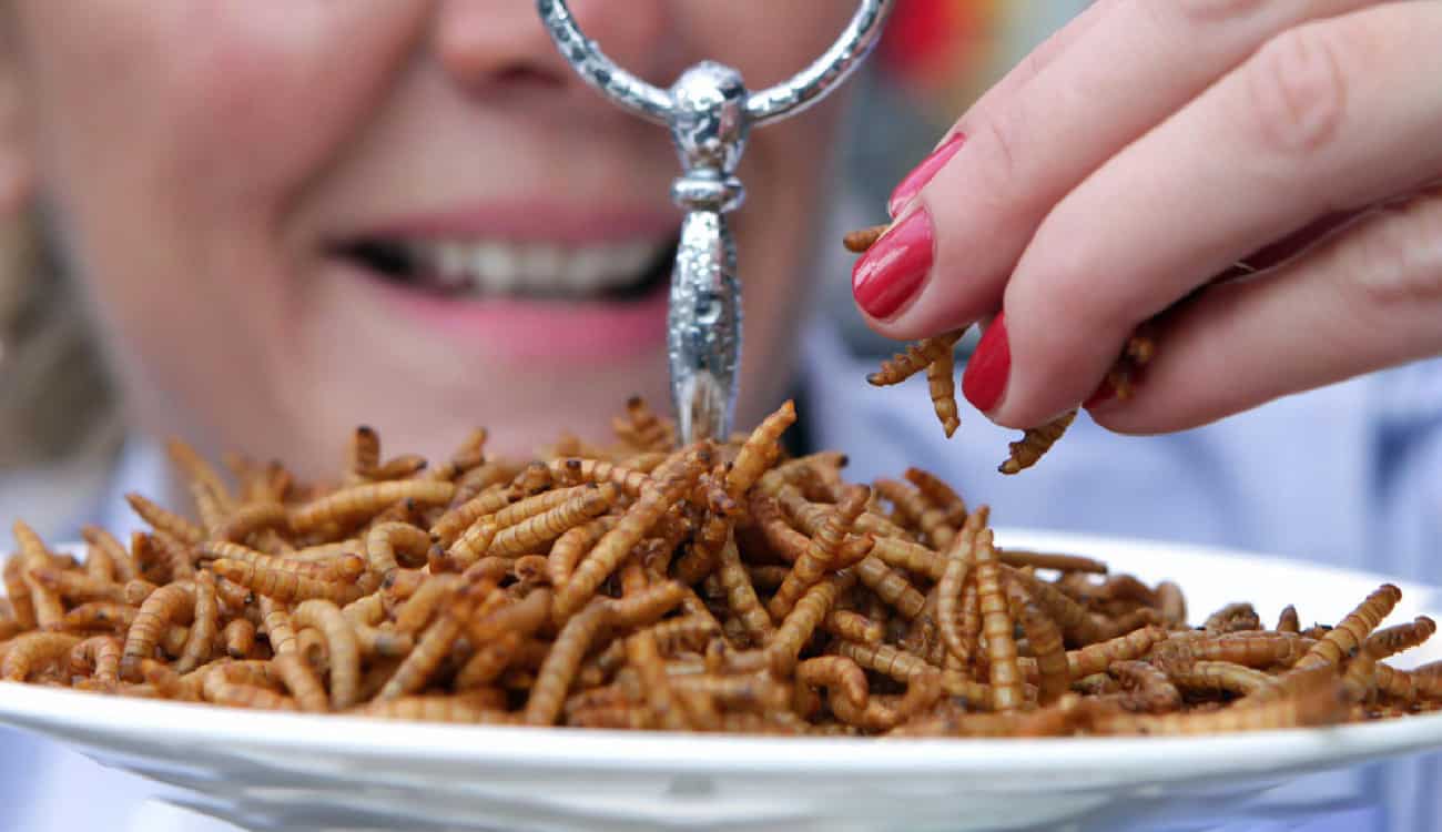 مطعم ياباني يحتفل بابتكار طبق جديد: معكرونة بالحشرات