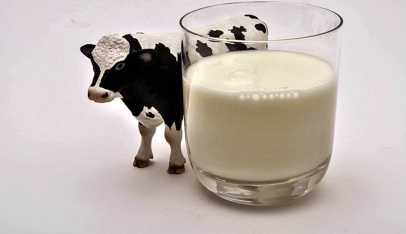 لهذا السبب حليب الأبقار قد يضر بالصحة