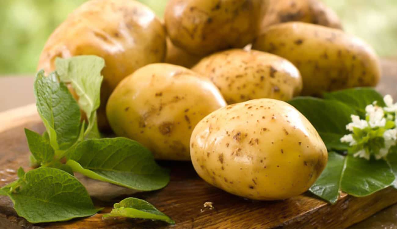 دراسة أمريكية تبرئ «البطاطا» من التسبب في السمنة
