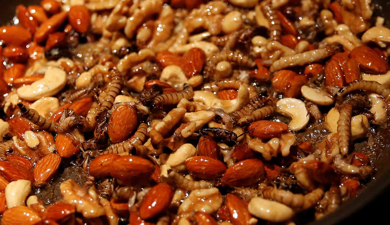 باحثون: لهذا السبب ينبغي أن نأكل الحشرات !