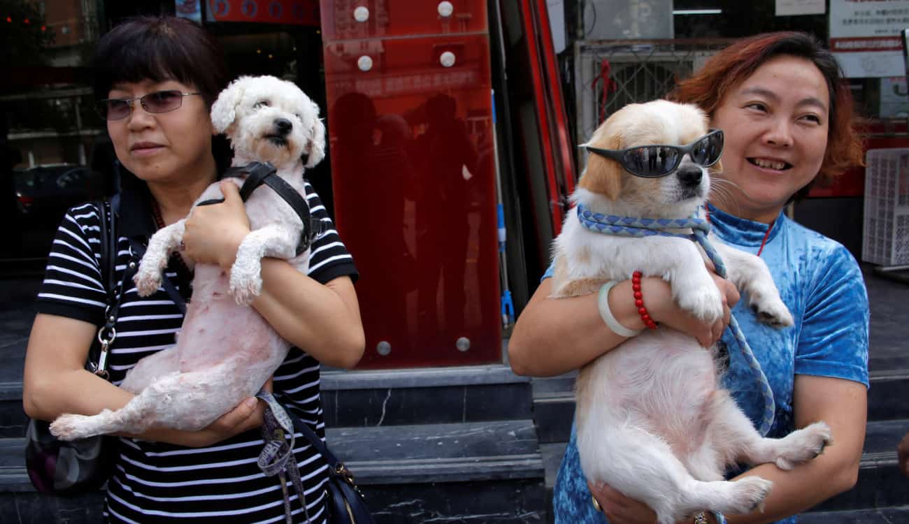 بالصور.. احتجاجات في الصين على مهرجان لسلخ الكلاب