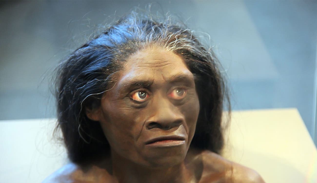 أسنان طفل توفي قبل 100 ألف سنة تكشف معلومات عن أصل الإنسان