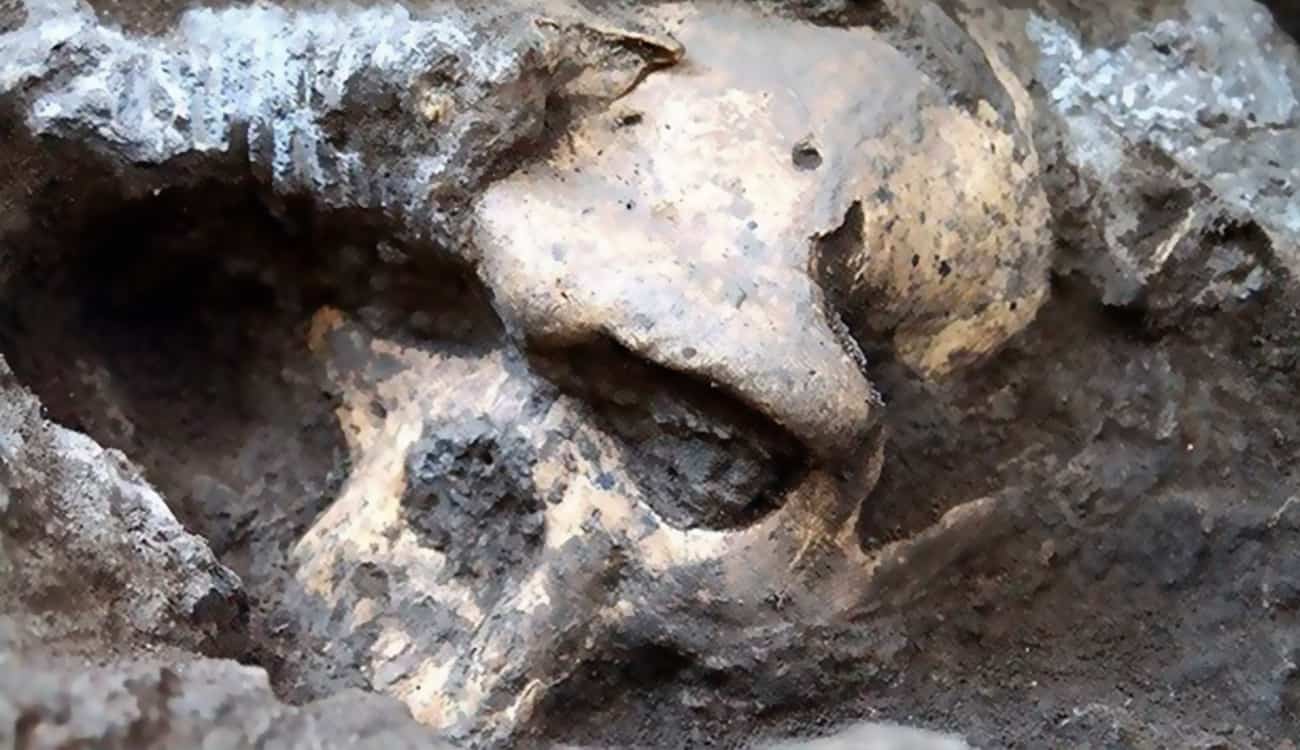 اكتشاف رفات عمالقة بشرية عمرها 5 آلاف عام في الصين