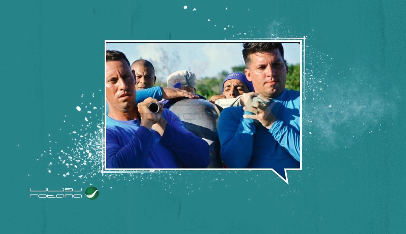 بالصور.. لحظات إنقاذ 6 دلافين في كوبا قبل ساعات من وصول «إرما»