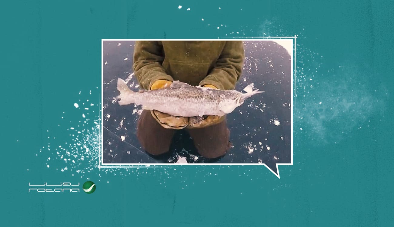 بالفيديو.. انتقام الطبيعة.. الثلوج تمنع سمكة من التهام فريستها