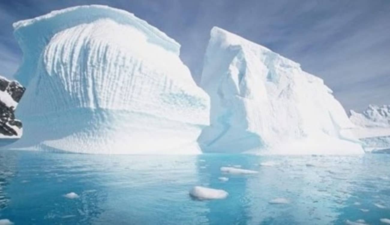 اكتشاف كائنات حية «غير معروفة» بالقطب الجنوبي