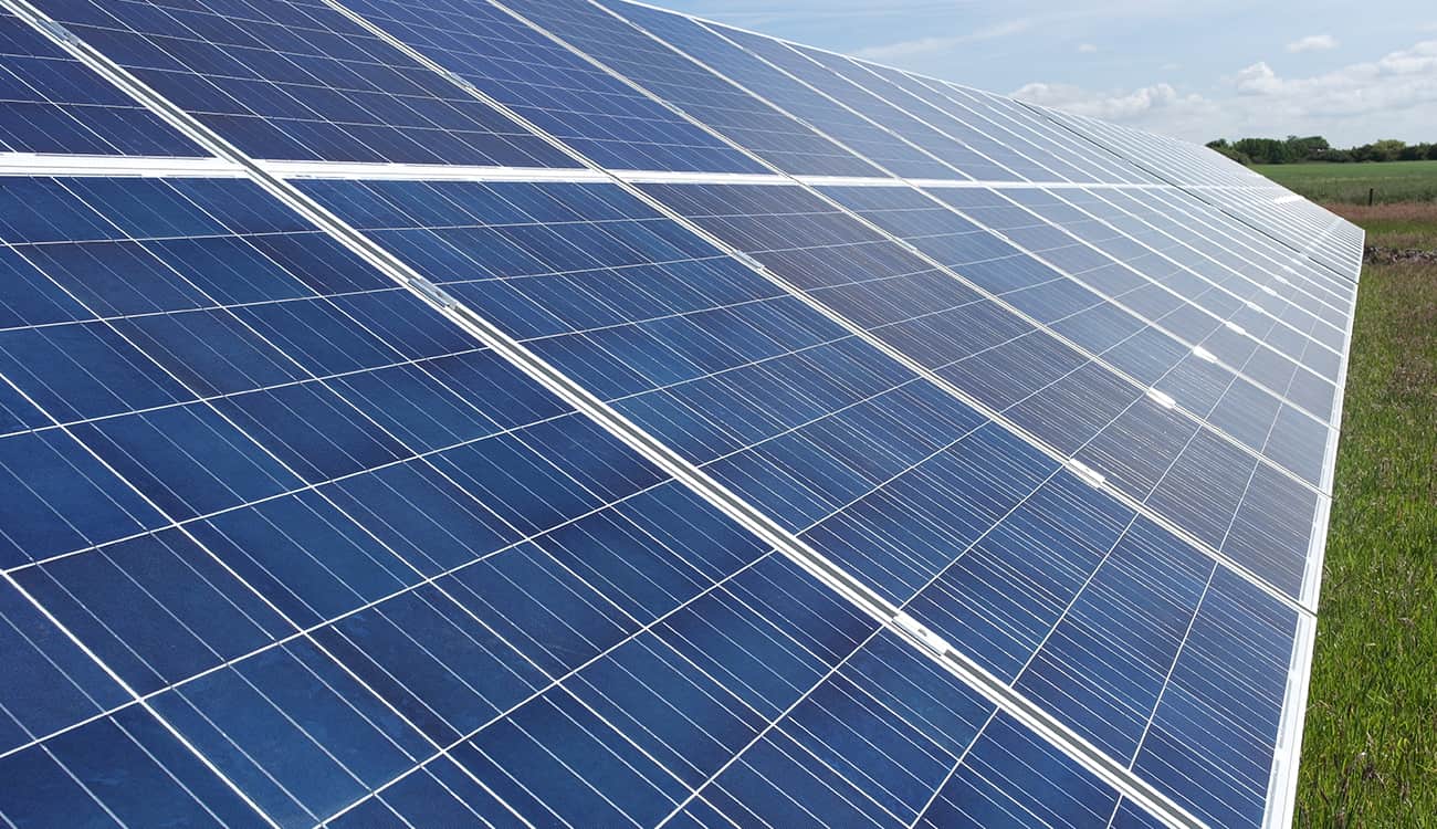 تبوك تستعد لـ «نيوم» بأكبر مشروع لتوليد الكهرباء بالطاقة الشمسية في العالم