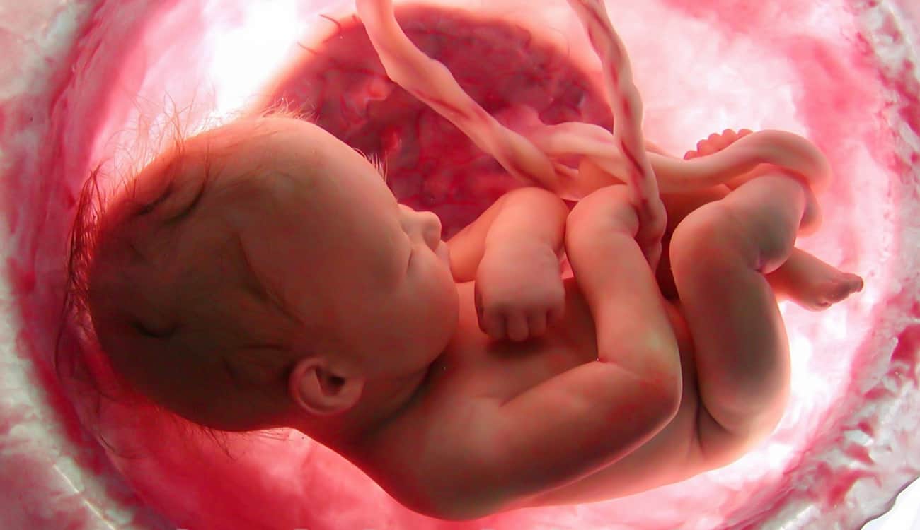 تقنية ثورية تتنبأ مبكرا بإجهاض الجنين والولادة المبكرة