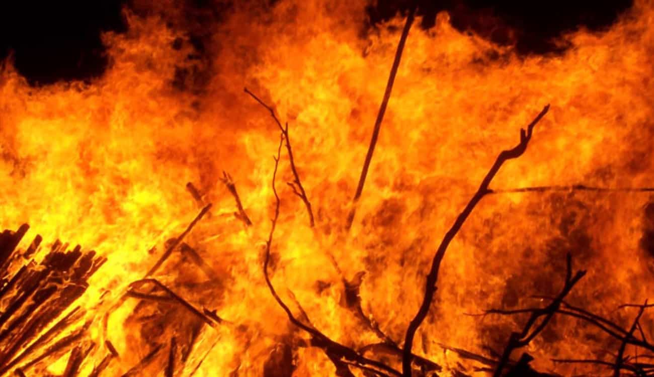 بالفيديو.. النيران تضرب «حيوانات لندن» و70 رجل إطفاء لفرض السيطرة