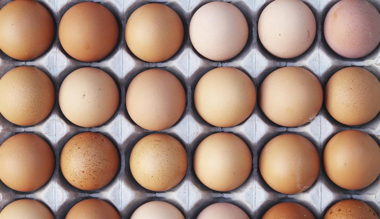 صرف 144 بيضة «علاوة تحفيزية» في فنزويلا!