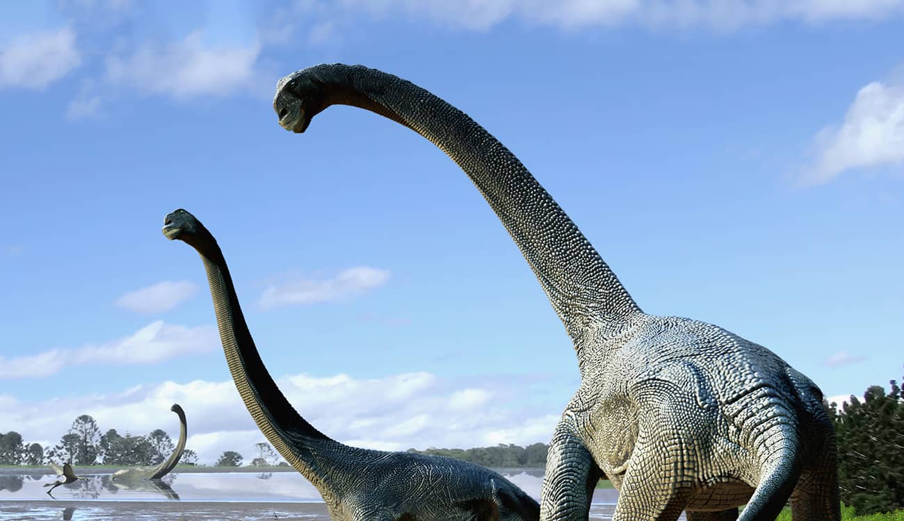 متجر خيري يتلقى رفات ديناصورات من 5 ملايين سنة!