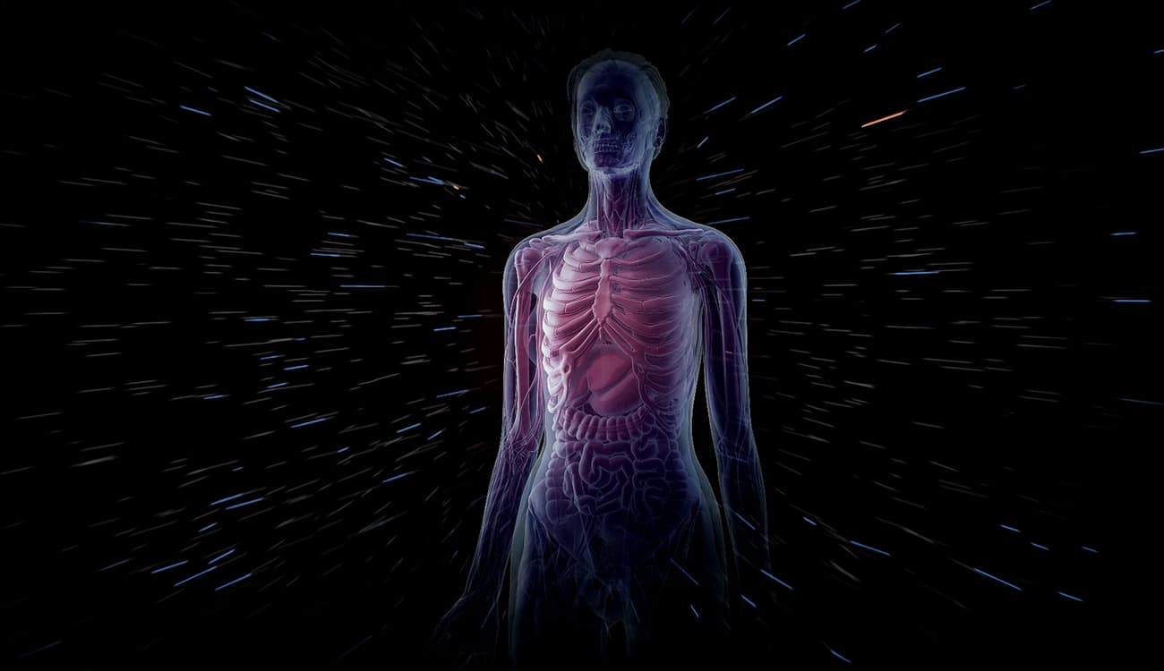 سر العضو الجديد في جسم الإنسان.. ما هو وما وظيفته؟