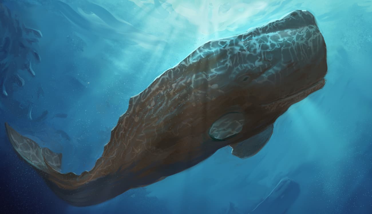 اكتشاف أدمغة وحوش بحرية منقرضة عمرها مليار سنة