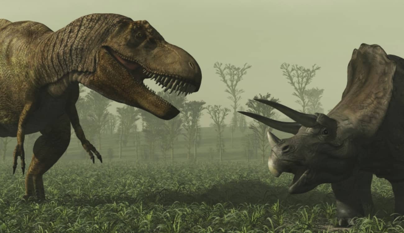 بالصور.. اكتشاف آثار أقدام ديناصور بحجم حافلة بدورين