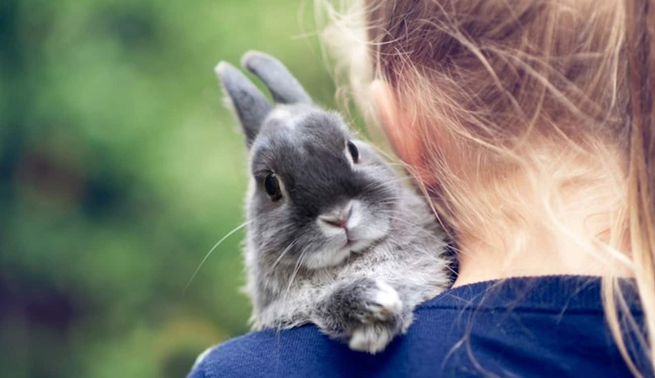 فيديو لطفلة ترتعد خوفًا من "أرنب" يثير غضب عائلتها