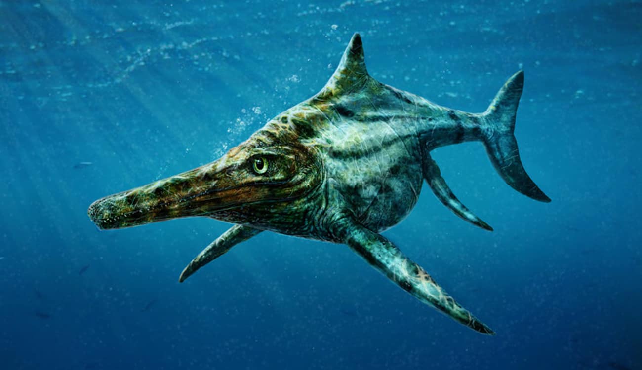 اكتشاف هيكل عظمي لـ «إكثيوصور» حامل عمرها 180 مليون سنة