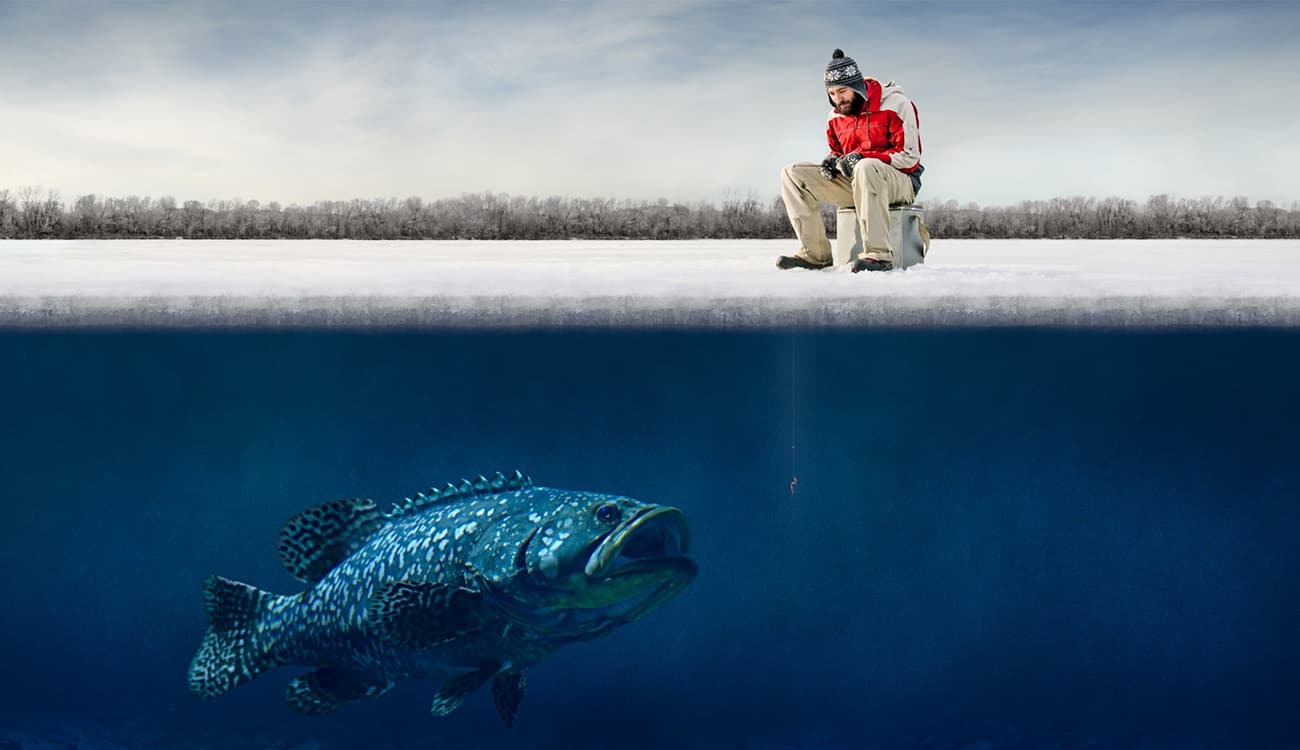 لقطات رائعة لأضخم سمكة في العالم تسبح بجانب البشر