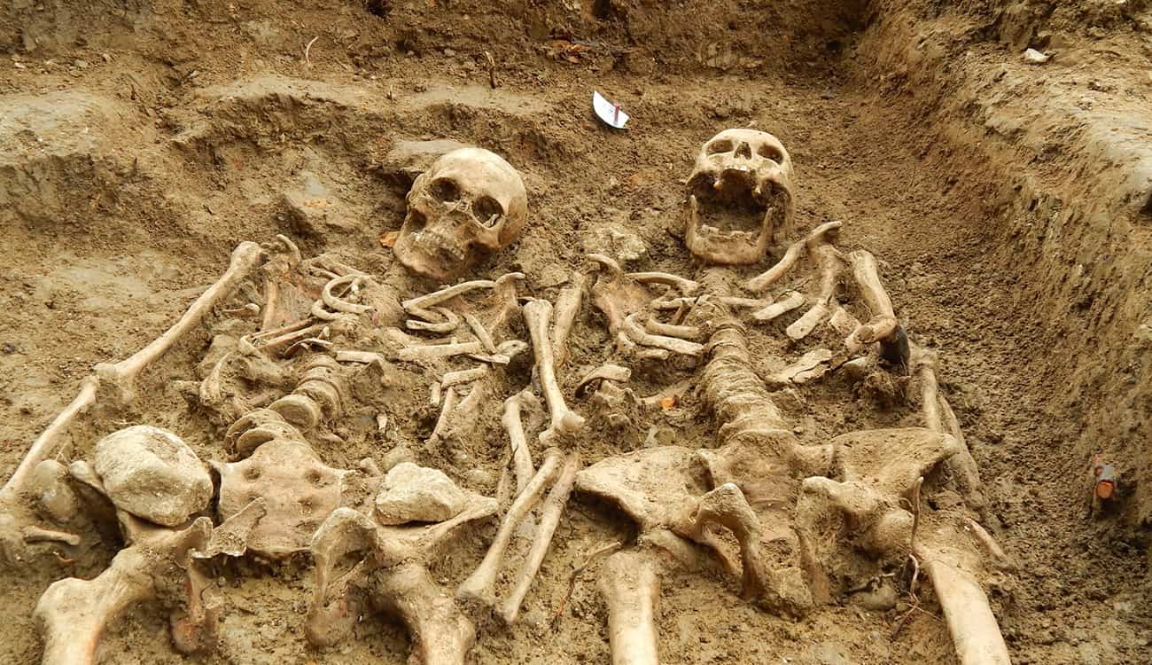 بالفيديو.. مخزن «عظام بشرية» يضم 2500 هيكل عظمي من القرن الـ13