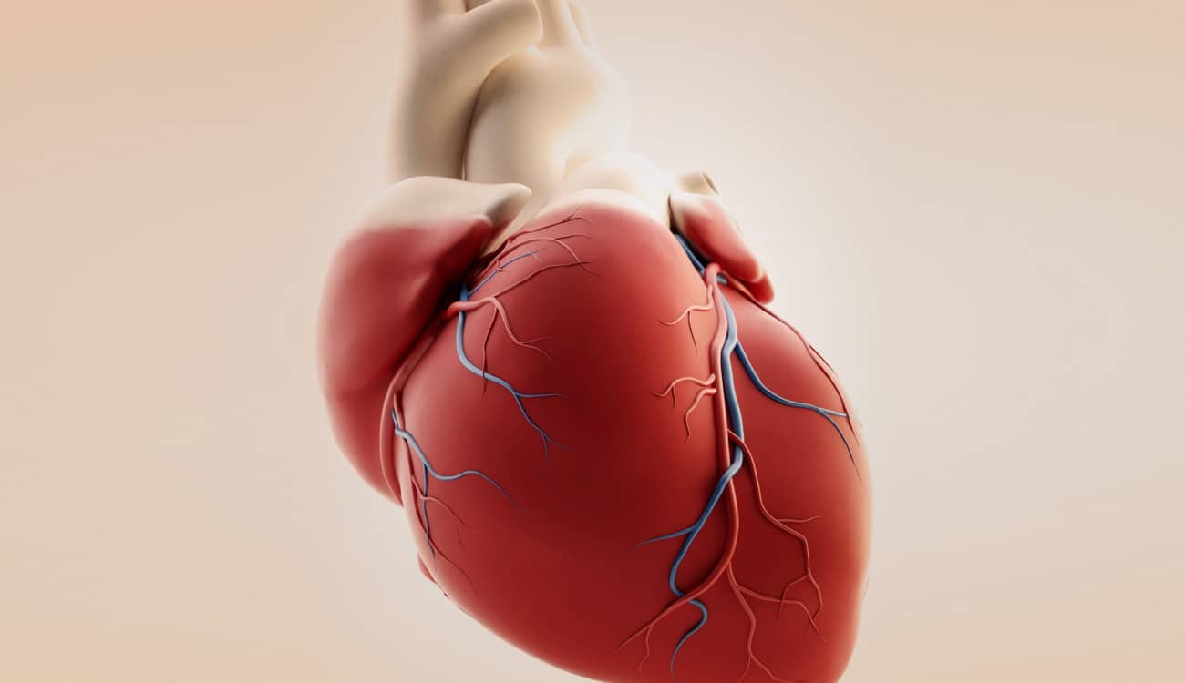 بالفيديو.. أول قلب بشري نابض من الخلايا الجذعية