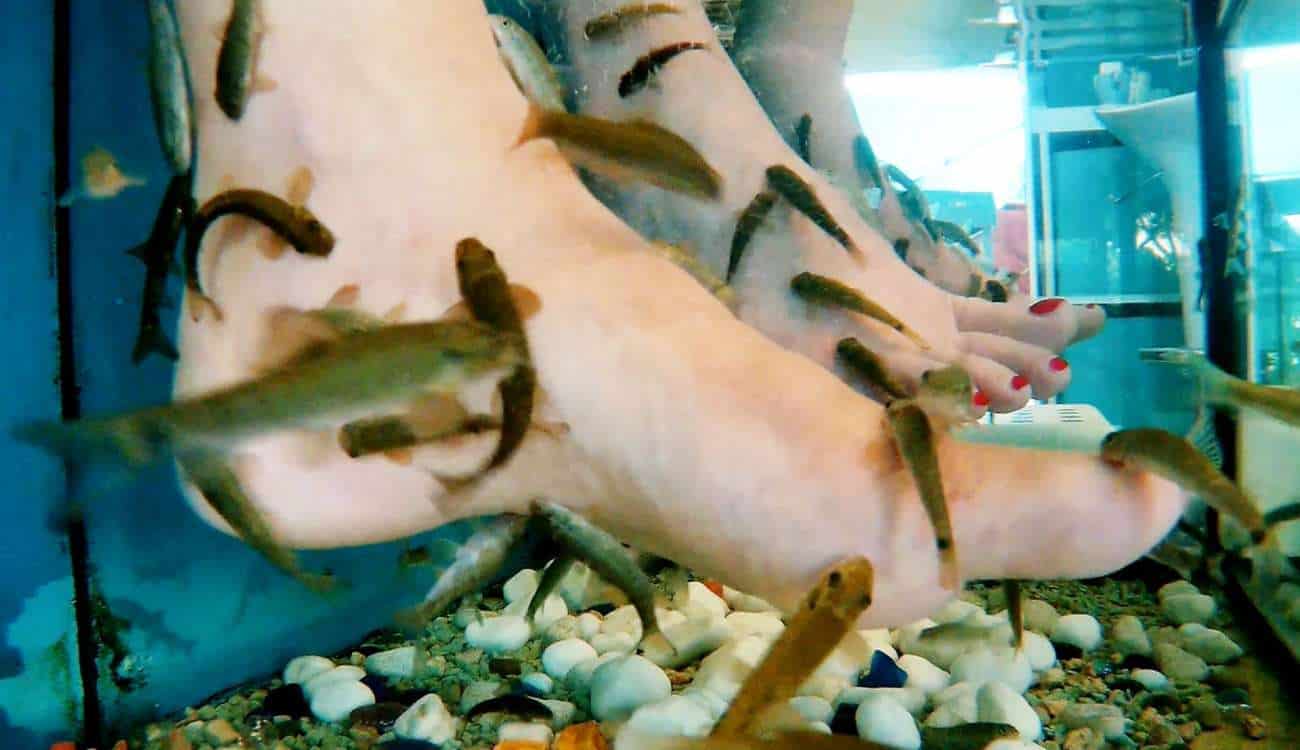 بالصور.. الأسماك تتسبب في بتر أصابع قدم فتاة