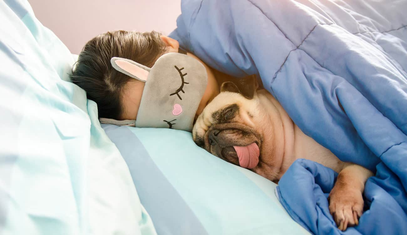 دراسة: النساء اللاتي يصطحبن كلبهم إلى السرير يحصلن على نوم أكثر هدوءا