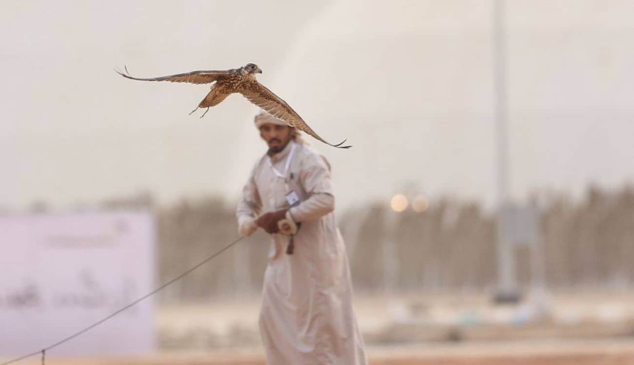 بالصور.. انطلاق مهرجان الملك عبد العزيز للصقور والجوائز 17 مليون ريال