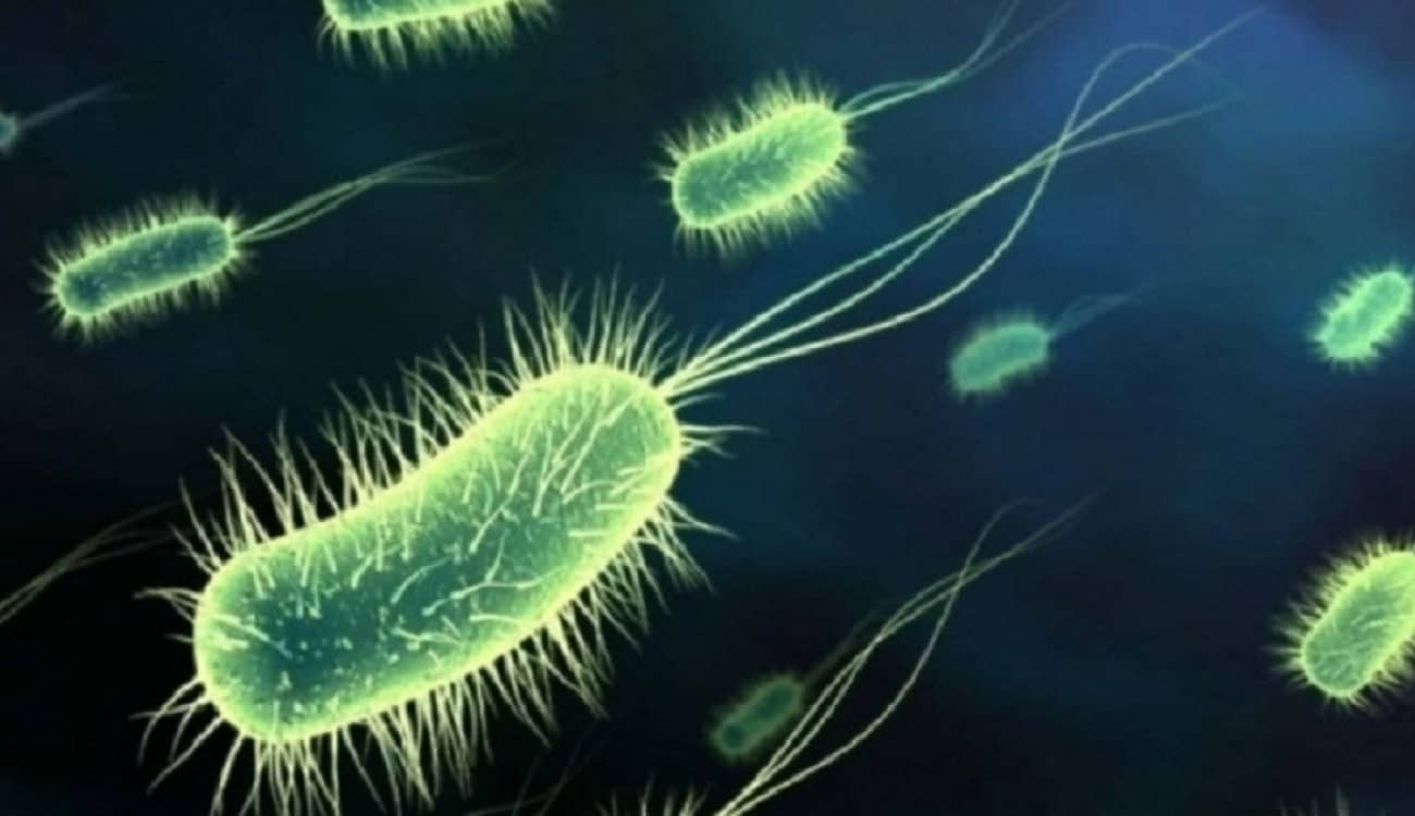 200 ألف نوع من البكتيريا في منزلك.. تقلل الإجهاد وتزيد السعادة