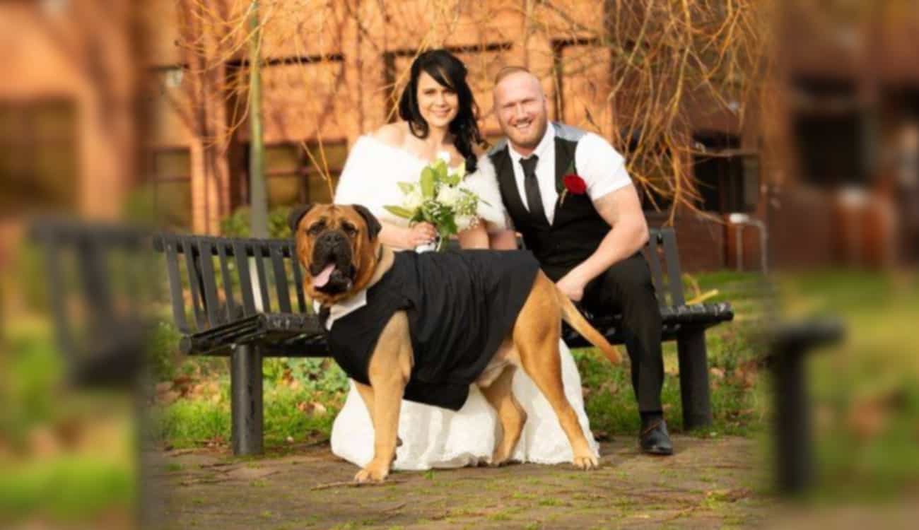 عروس تقدم موعد زفافها 3 أشهر.. والسبب كلبها