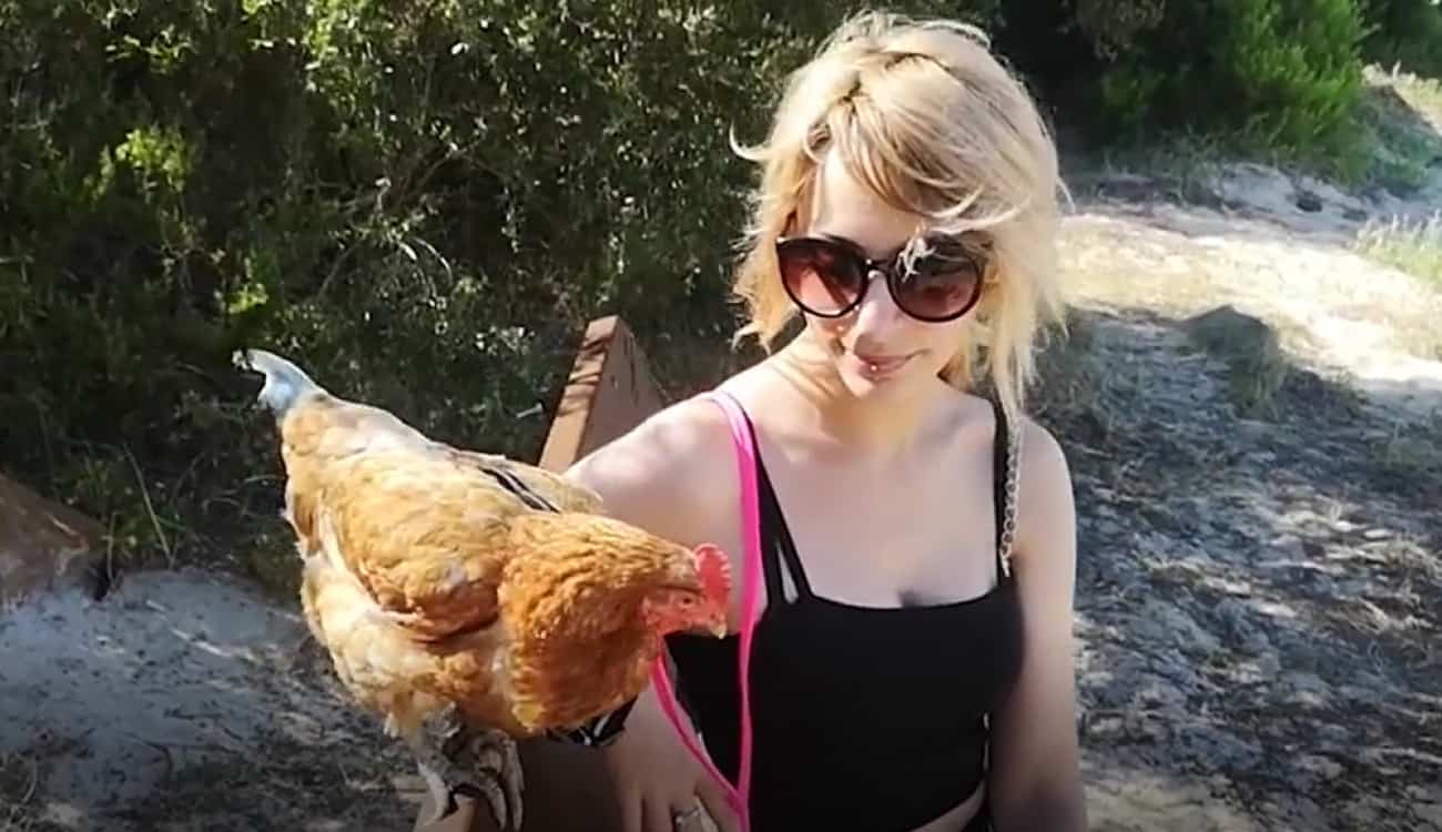 علاقة غريبة بين فتاة و"شووكي" تمنعها من أكل الدجاج