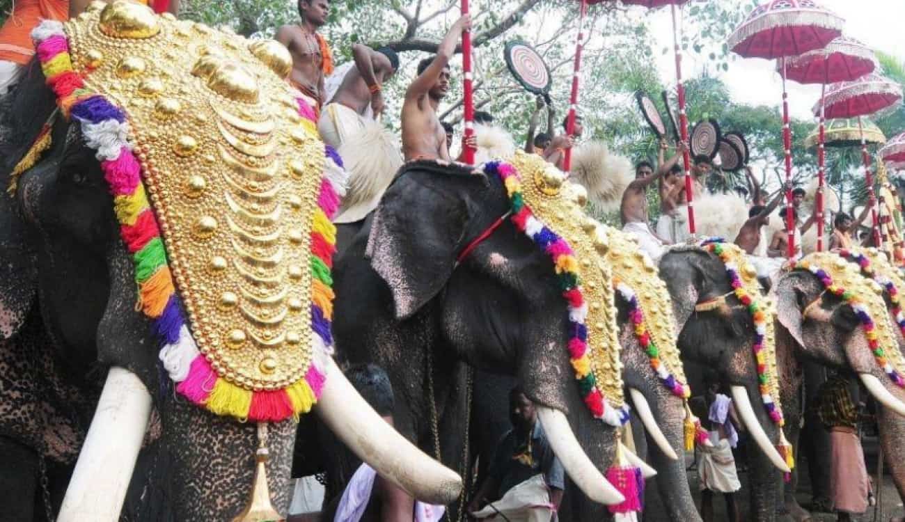 بالصور.. وفاة أكبر فيل هندي عن عمر 88 عاما