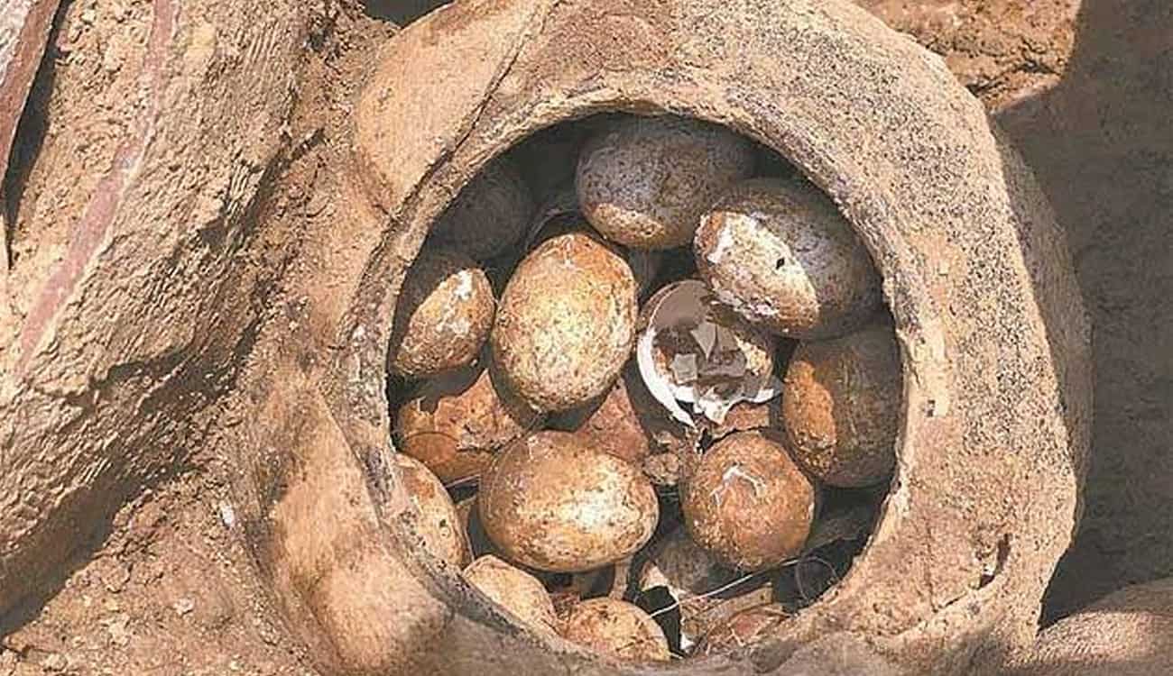 اكتشاف 20 بيضة مدفونة منذ 2500 عام.. هل تصلح لأشهر طبق بيض فاسد في الصين؟