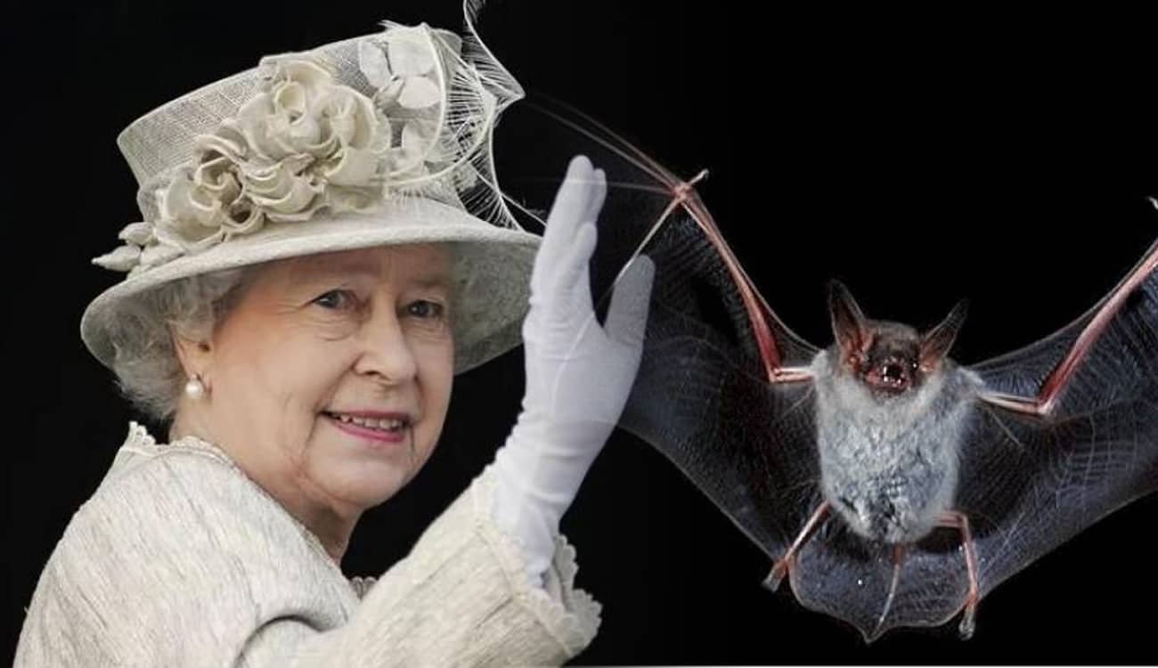 ملكة بريطانيا تقضي عطلتها في قلعة مليئة بالوطاويط!