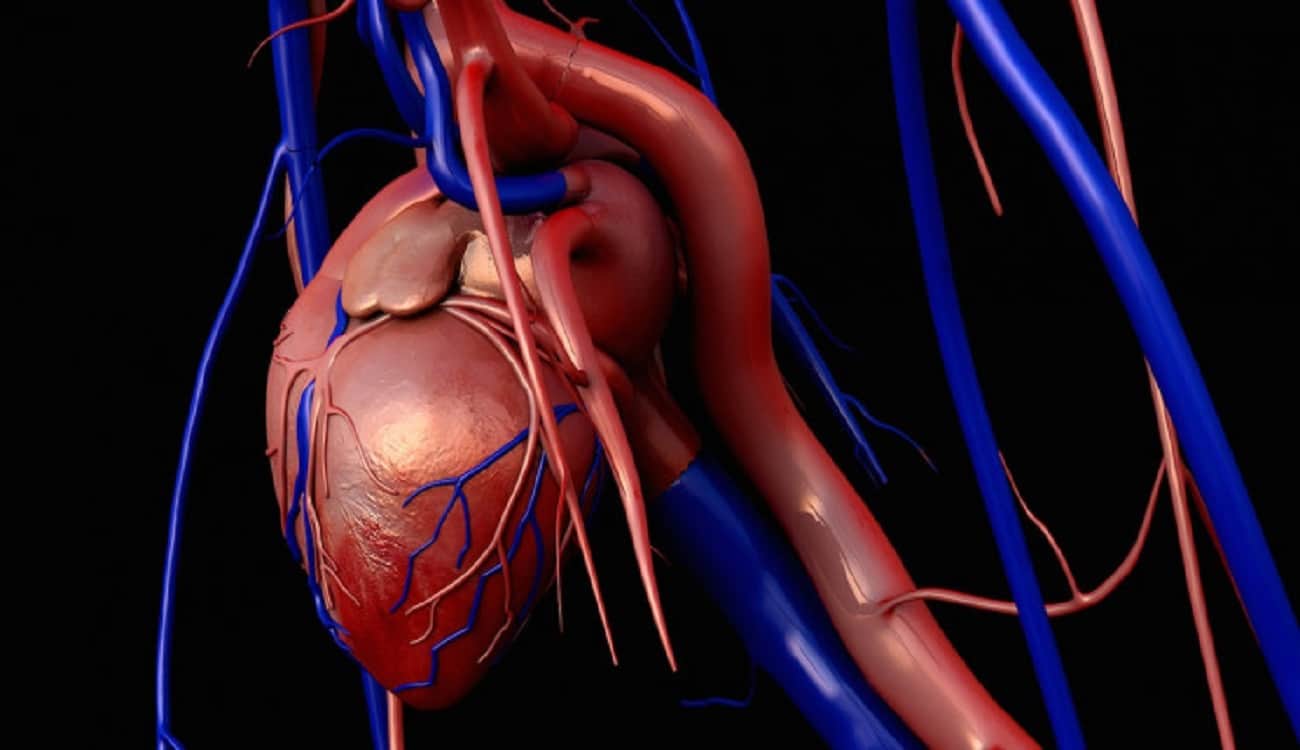 طباعة قلب بتقنية الـ 3D من "الكولاجين"!