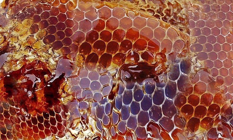 ماذا تعني رؤية العسل في المنام؟